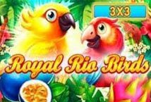 Royal Rio Birds 3x3